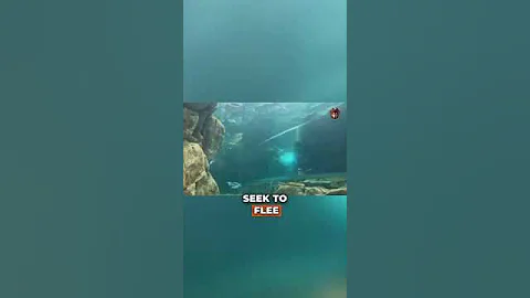 Frozen Blood, Live Fish: The Most Extreme Adaptation Ever Discovered .