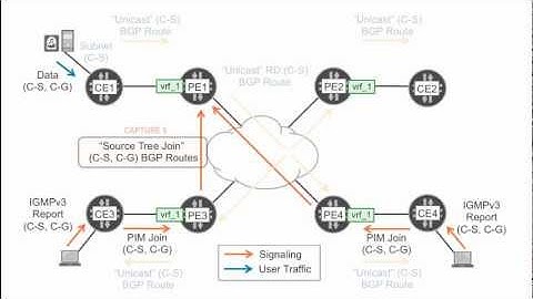 BGP NEXT-GENERATION MULTICAST VPN - [Juniper vDay One - Video #5]