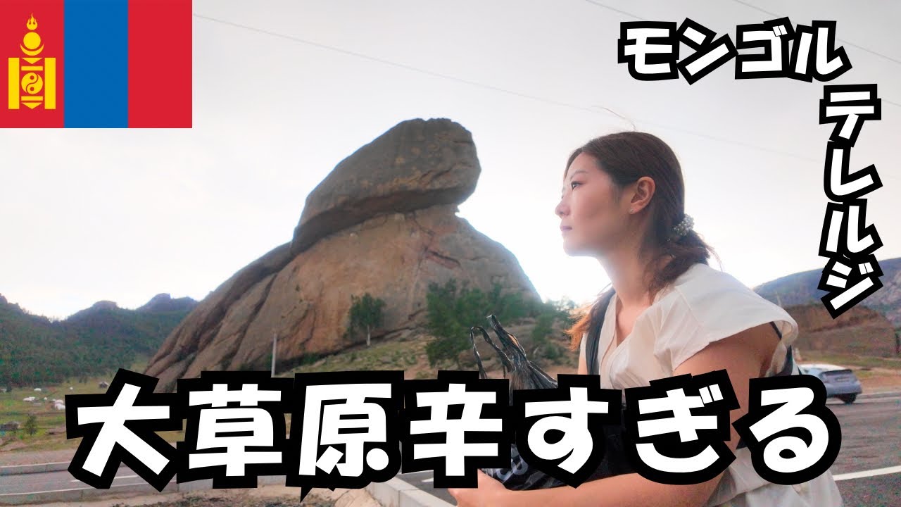 モンゴル旅🇲🇳テレルジ大草原に自力で行ったら後悔した【後編】