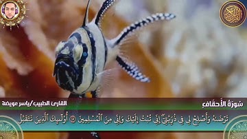 سورة الأحقاف كاملة - القارئ ياسر عويضة