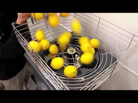 Best Automatic Orange Juicer Machine Reviews Citrus Home Design Idea