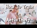 How to train Anti-Theft
