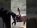 Ace!♠️#forupage #viral #equestrianjourney #riding #horse #horseriding