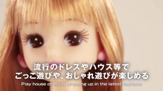 投稿イメージ映像コンテンツ集（リカ）