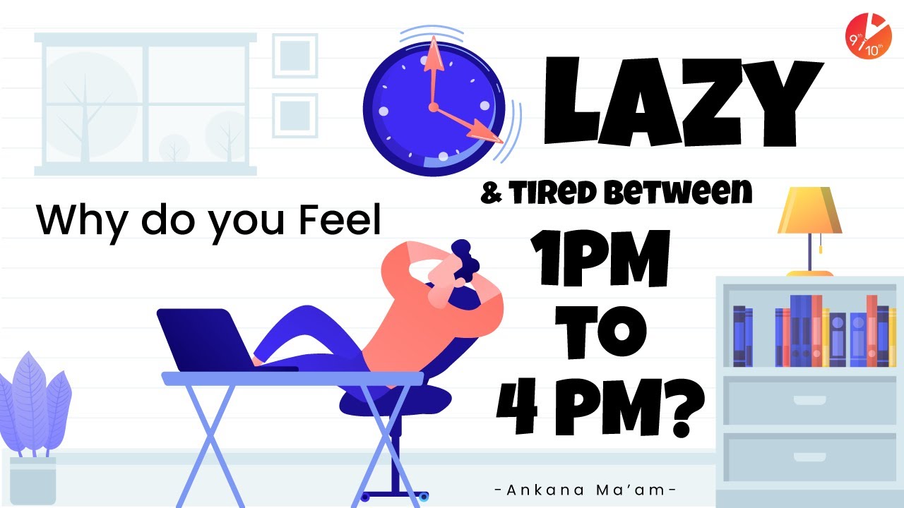 Afternoon Fatigue😪 Why Do You Feel Lazy and Tired Between 1 PM to 4 PM