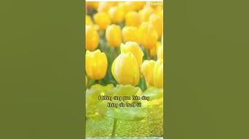 8 nguyên tắc sống của người khôn ngoan #Phattrienbanthan #dongluc