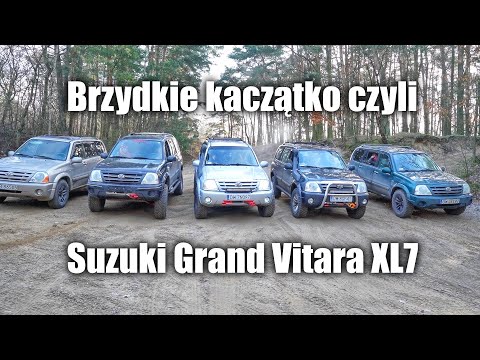 Brzydkie kaczątko czyli Suzuki Grand Vitara XL7 w terenie.