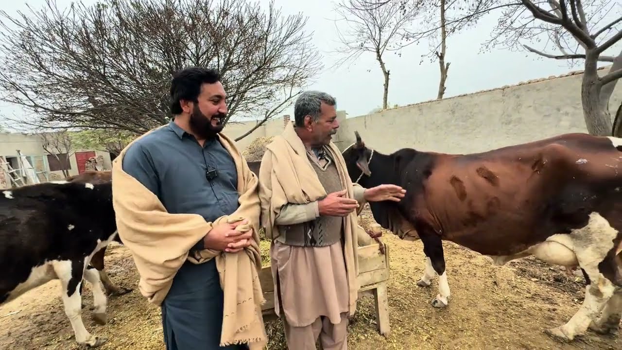 Chacha boota di gaan di puchni kiti | Kabaddi star Sohail Gondal | Anjum Saroya 