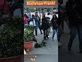 Best bushman prank reaction #fouryou #fyp #tiktok #prank #happy #funny #people #bushman