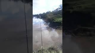 pesca en entre ríos las moscas