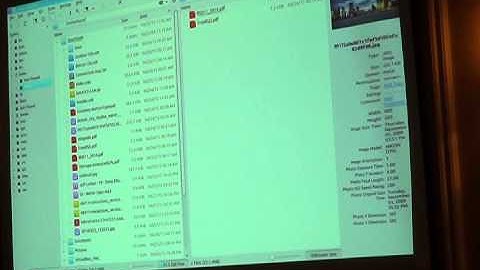 PENGUICON2015 837 Swimming with Dolphin, the File Manager