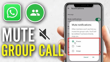 Hoe je WhatsApp-groepsgespreksmeldingen dempt | Stapsgewijze handleiding