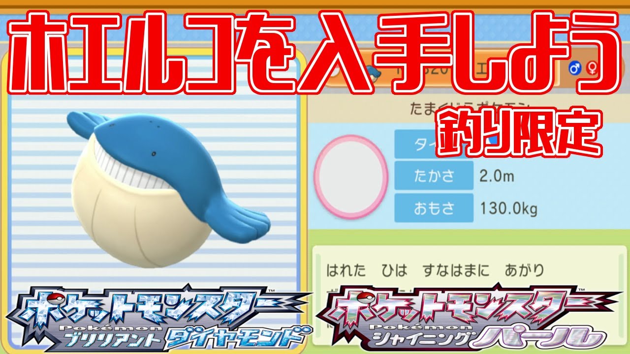 ポケモンダイパリメイク ホエルコを入手しよう 釣り限定 223番230番水道 ポケットモンスター ブリリアントダイヤモンド シャイニングパール Pocket Monsters Youtube ポケモンダイパリメイク ホエルコを入手しよう 釣り限定 223番230番水道 ポケットモンスター ブリリアントダイヤモンド シャイニングパール Pocket Monsters Youtube