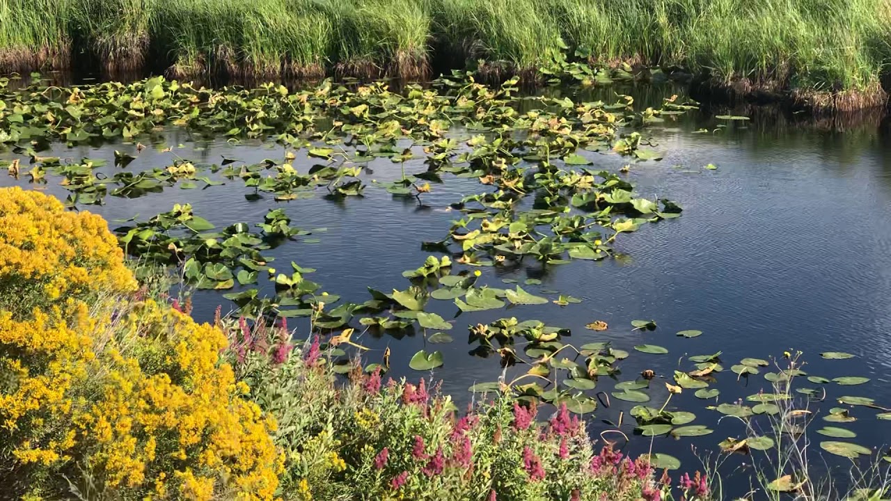 Klamath Marsh National Wildlife Refuge