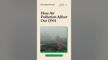 How Air Pollution Damages Our DNA