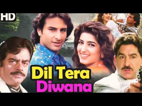 Ye Gore Gore Gaal Tere Kiske Liye Hai - Dil Tera Diwana (1996) Songs | Udit Narayan | Saif Ali Khan