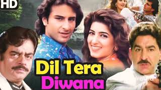 Ye Gore Gore Gaal Tere Kiske Liye Hai - Dil Tera Diwana (1996) Songs | Udit Narayan | Saif Ali Khan