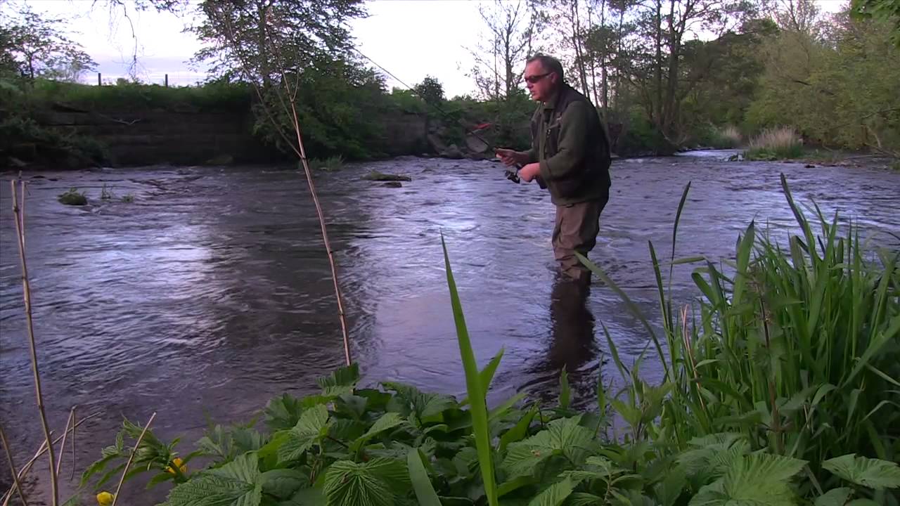 How To Catch Wild River Trout Using The Upstream Worming Technique