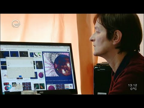 სქესის ნიშნით პროფესიათა დიფერენციაცია