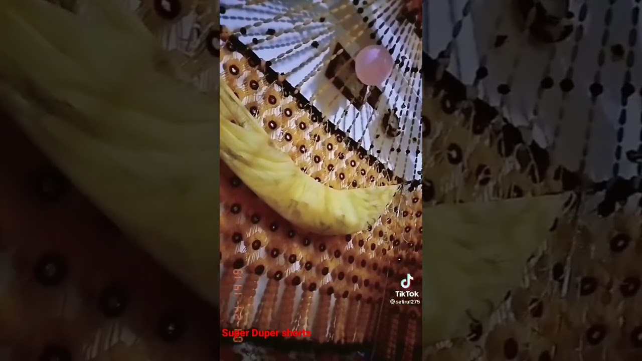 Suhag Lari Ka Jhumar Design//Palang Gate Ka Jhumar Design//