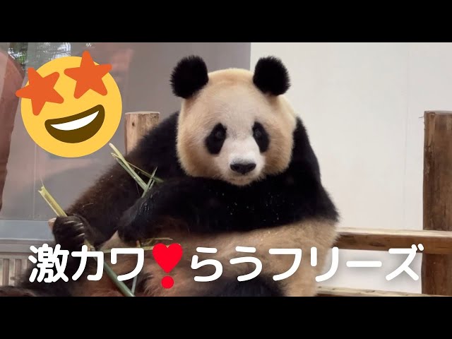 お母さん かわいすぎ❣️】アゴのせスタイル らうフリーズ
