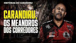 Carandiru Pavilhão 9 entre Cobras e Largatos
