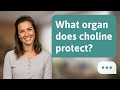 What organ does choline protect? | Protects Liver