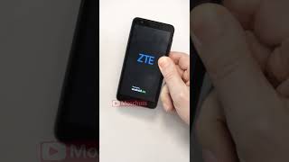 Das billigste Smartphone von Mediamarkt/Saturn - ZTE Blade A31 LITE - Moschuss