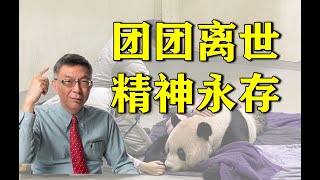 【苑举正】蔡英文不仁不智不勇! 台湾教授谈团团所象徵的精神意义。