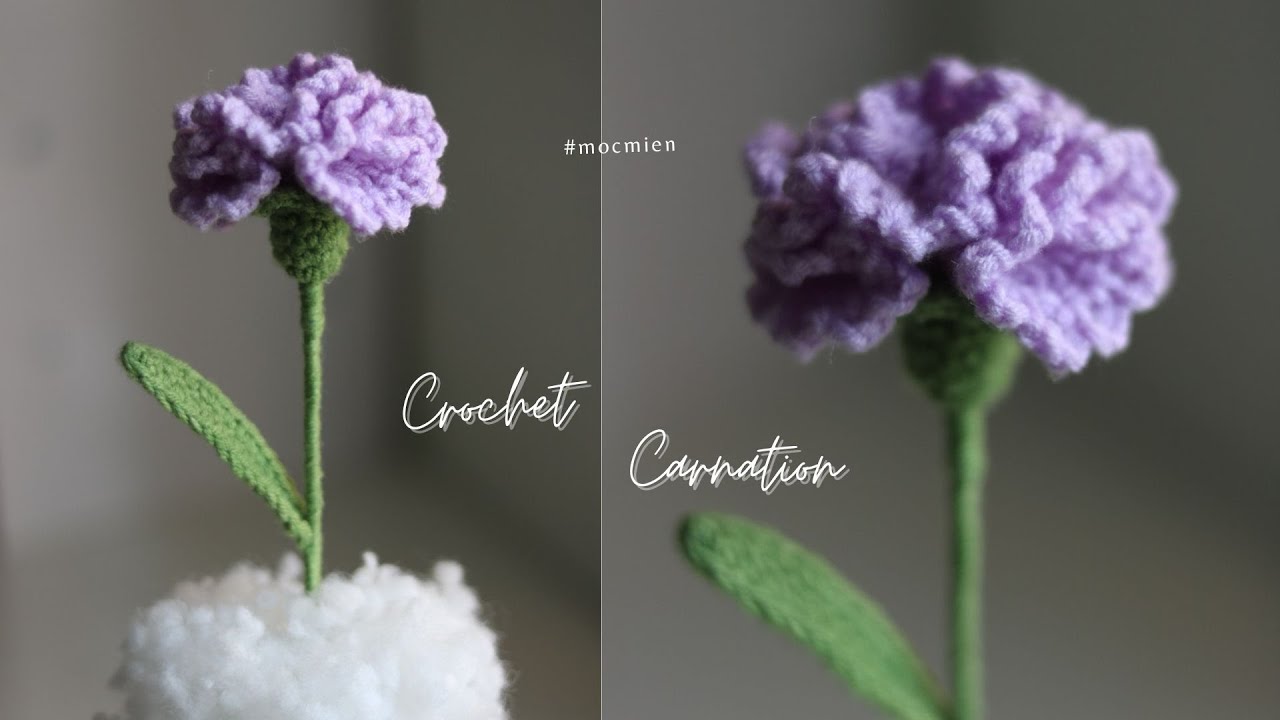 Hướng dẫn cách móc hoa cẩm chướng bằng len cực đơn giản | Crochet carnation flower