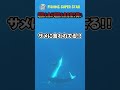 衝撃!とんでもない水中映像が撮れた #shorts