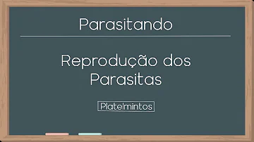Como se dá a reprodução em planárias?