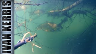 Spearfishing at the Krasnoyarsk reservoir, the opening of the season 2018🐟.