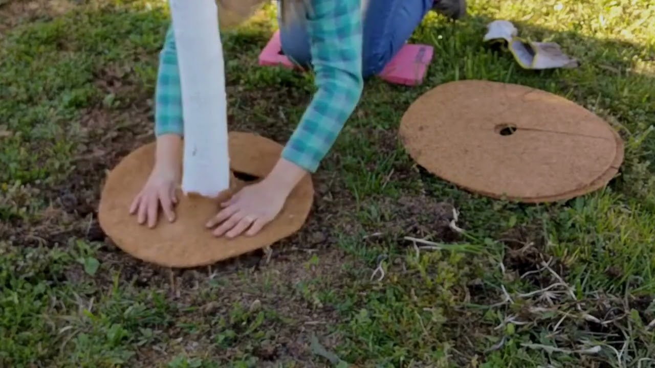 Fibra Di Cocco Per Piante Pacciamatura Cocco 2 Rouleaux Stuoia Di Cocco