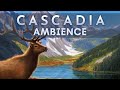 Cascadia board game music  wildlife scenes with music and nature sounds