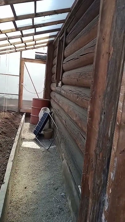 Пришла пора подготавливать теплицы. А на улице у нас взошёл зелёный ...
