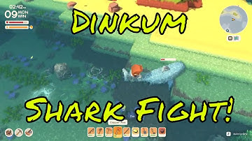 Dinkum How to Fight  Sharks!