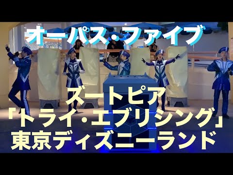 【TDL】オーパス•ファイブが歌う「トライ•エブリシング」•ディズニー映画「ズートピア」より