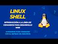 Comandos básicos para trabajar con el sistema de archivos en Linux