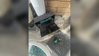 Pest Control & Termite Treatment in Liverpool NSW | Multipro Pest Management Pty Ltd