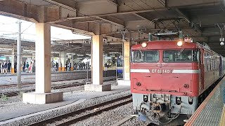 (配9644レ) EF81-140[新潟]牽引横須賀線E235系1000番台J-29編成新津配給。大船駅入線