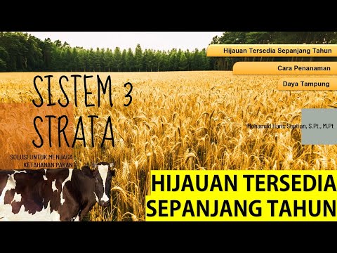 Video: Kronik Fenomena Anomali Di Togliatti. Bulatan Di Ladang Soba - Pandangan Alternatif