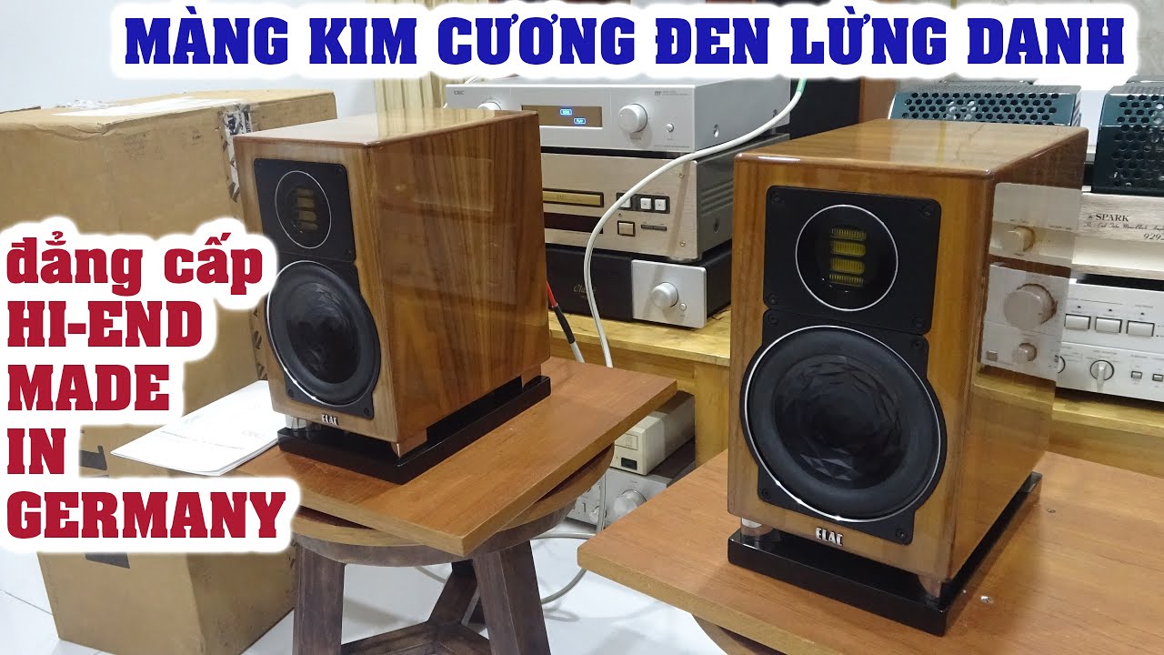 Мурашки по коже Hi-end динамик BLACK DIAMOND мембрана ELAC BS 403 полный пенопластовый корпус, 20...