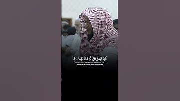 خشوع لا يوصف وأداء متقن لآيات بينات من #سورة_الكهف بصوت القارئ الشيخ #هاني_الرفاعي