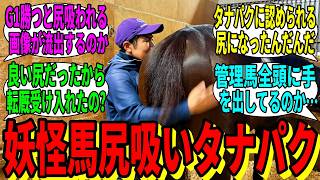 【競馬の反応集】「シックスペンス、タナパクに尻を吸われる」に対する視聴者の反応集
