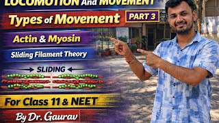 L-3/SLIDING FILAMENT THEORY/LOCOMOTION AND MOVEMENT #biology #class11 #neet