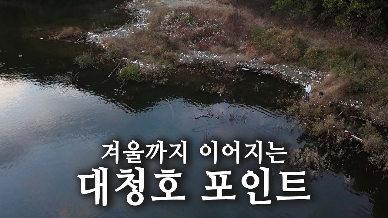 겨울까지 배스 공략이 가능한 대청호! 지금부터 시작해도 됩니다