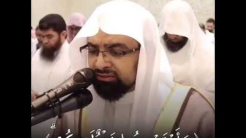 ﴿وَاللَّهُ يُريدُ أَن يَتوبَ عَلَيكُم) تلاوة خاشعة بصوت #الشيخ_ناصر_القطامي