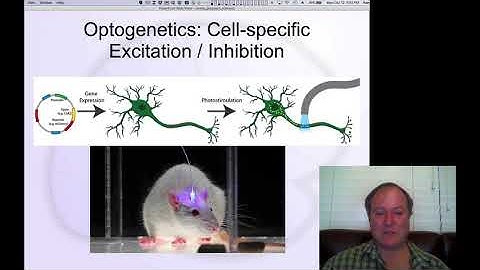 GenPsych Course 2020, Science 7: Experimental Design