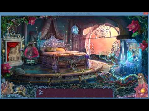 Reflections of Life - Equilibrium Part 1